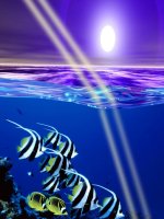 Bài 26: Khúc xạ ánh sáng