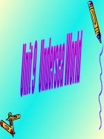 Unit 9: Part C Listening