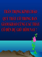 Người  trong bao 3