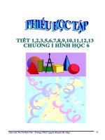 Phiếu học tập 12 tiết Hình học 6 Chương I