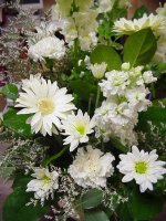 Truyện An Dương Vương và Mỵ Châu Trọng Thủy