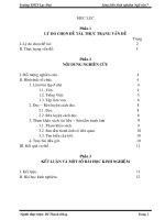 Sáng kiến kinh nghiệm ngữ văn 7