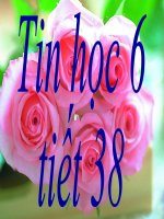 tin6- t38