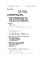 đề kiểm tra HK 2 2007- 2008