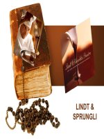 the factors create lindt's sucess