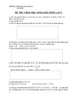 ĐỀ THI CHỌN ĐỘI TUYỂN MÁY TÍNH BỎ TÚI