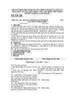 Giáo án rát hay 2