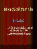 Bài ca chúc tết thanh niên