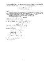 BEN TRE - Dapan Hoa10