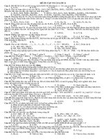 De on tap vo co lop 11