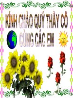 Tiết 48 : Định dạng đoạn văn