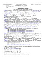 kiem tra hoc ki I lop 11