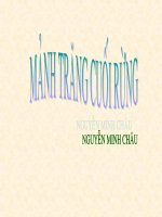 Mảnh trăng cuối rừng