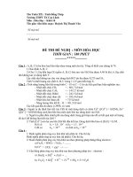 DONG THAP - CAO LANH - DETHI