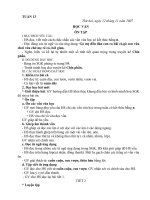 giáo án tuần 13