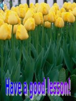 Unit 8: Lesson 6: C3-4/ p.90-91