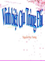 Vĩnh biệt cửu trùng đài