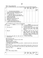 4 de kiem tra DGCD 9