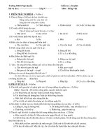 kiểm tra Tiếng Việt 9 / II