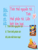Bài 23: Tinh thể phân tử