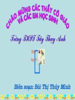 bai 27 cam ung dong vat