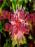 Tiết 43: bài 29 (tiếp) Cả nước trực tiếp chống Mỹ Cứu nước (1965 - 173)