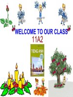 UNIT 13: LANGUAGE FOCUS