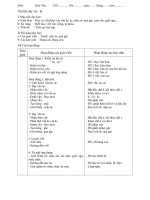 giao an lop 1 tuan 19 (ha)