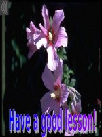 Unit 13: Lesson 2: A3/ p. 135