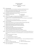 Đề thi thử tốt nghiệp THPT