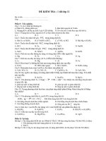 đề kiểm tran hóa 11