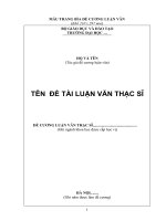 Mau de cuong luan va thac si