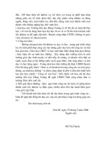 báo cáo thành tích