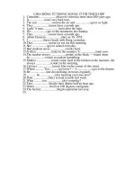 Bài tập chia động từ