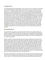 PHONG TỤC TẬP QUÁN NGƯỜI VIỆT