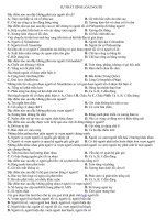 sự phát sinh loài người