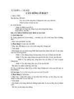 Cây sống ở đâu?