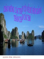 noi cac ve cau ghep bang cap tu ho ung