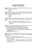 Đề Trắc nghiệm WORD-04