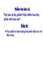 tiết 37 Thụ phấn (tiếp)
