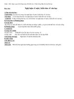 Nghị luận về một ý kiến bàn về văn học