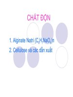 chất tạo vị và màu cho thực phẩm 2