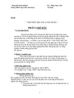 Sáng Kiến Kinh Nghiệm Toán c3.(Hay)