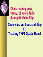 Bài soạn dự thi cấp tỉnh