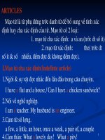 Mạo từ (Language focus 12)T.Anh