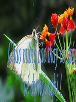 Thao tác lập luận phân tích