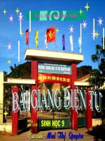 đột biến số lượng NST -tiết 2-08