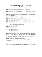 Đề thi HSG lớp 12 có đáp án đề 3