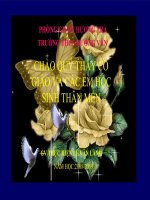 Tiết 10: Giảm phân