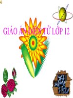 sinh học 12 ki thuật di truyền